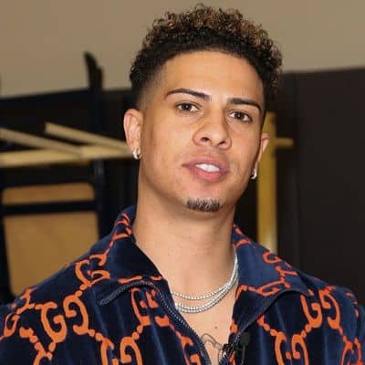 Austin McBroom net worth in Business category