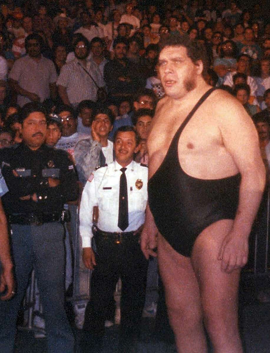 Andre the Giant - Famous Wrestler