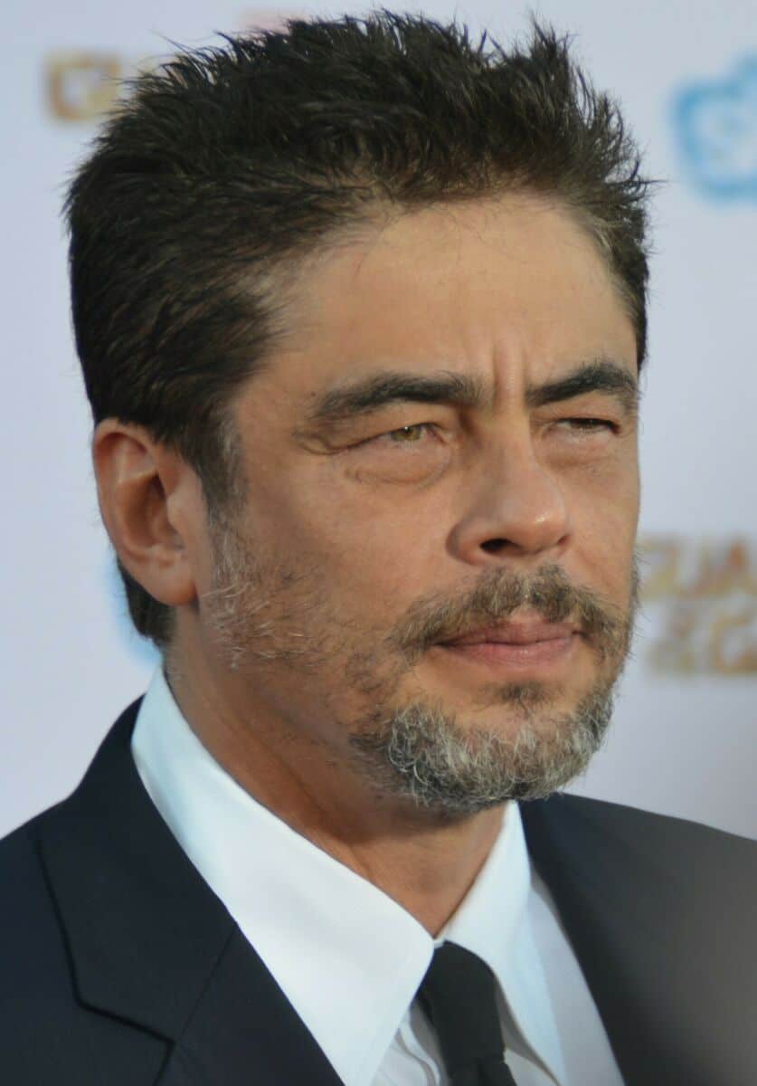 Benicio del Toro - Famous Film Director