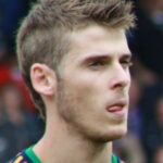 David de Gea - Famous Football Player