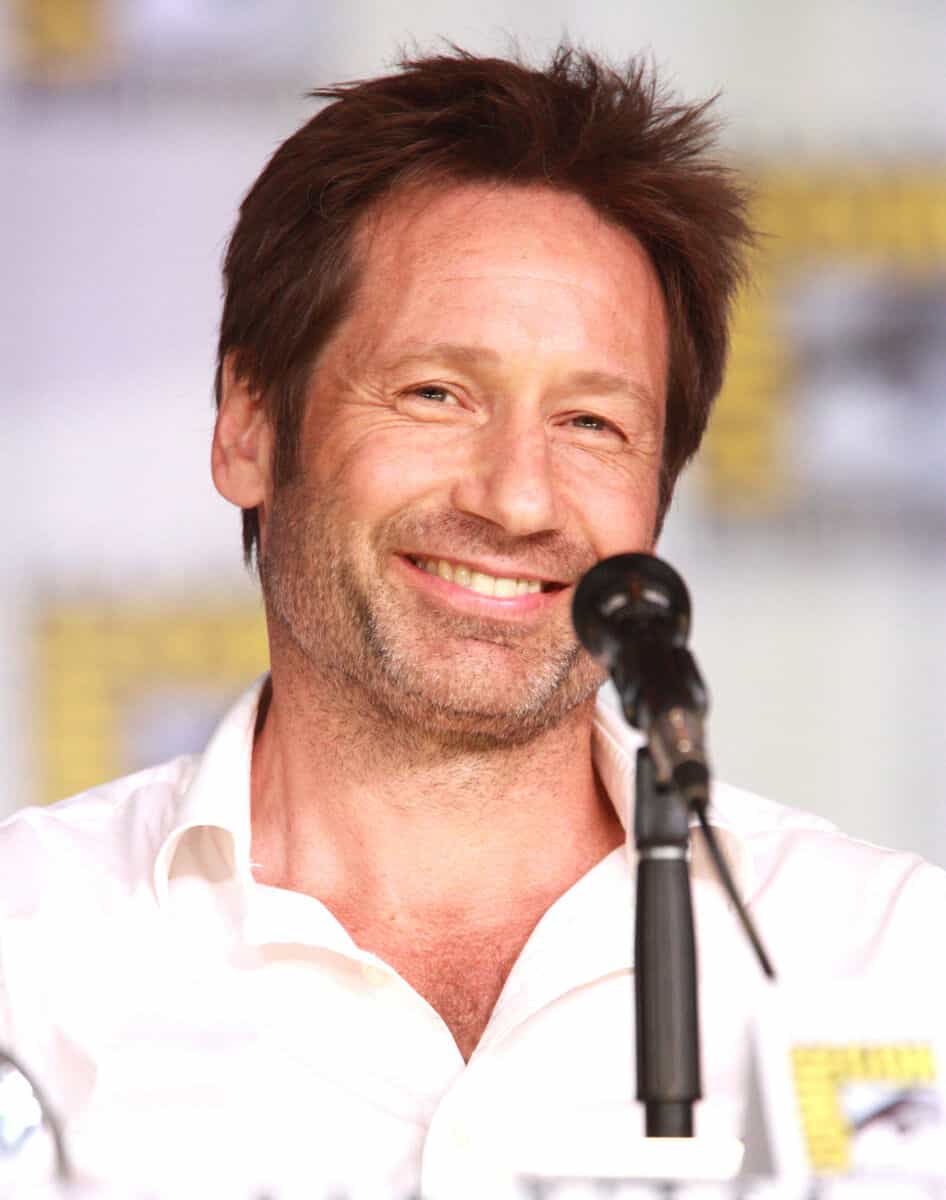 David Duchovny - Famous Actor