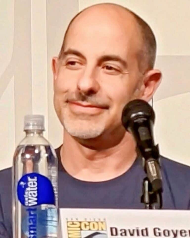 David S. Goyer - Famous Novelist