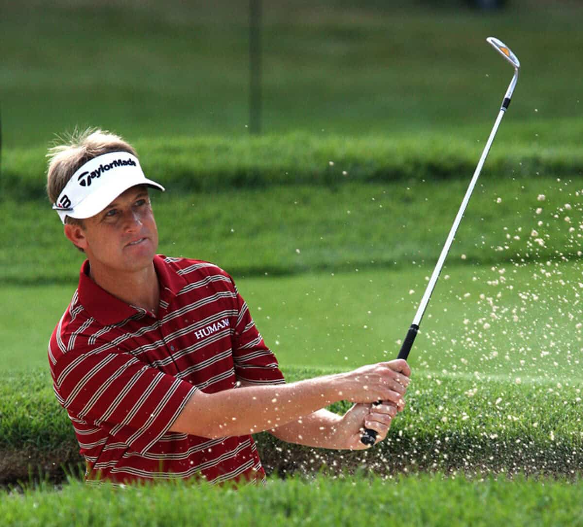 David Toms net worth in Golfers category