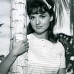 Dawn Wells - Famous Actor