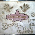 Dom DeLuise - Famous Voice Actor