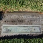 Donna Reed - Famous Actor