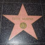 Eddie Murphy - Famous Singer