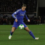 Fernando Torres - Famous Soccer Player