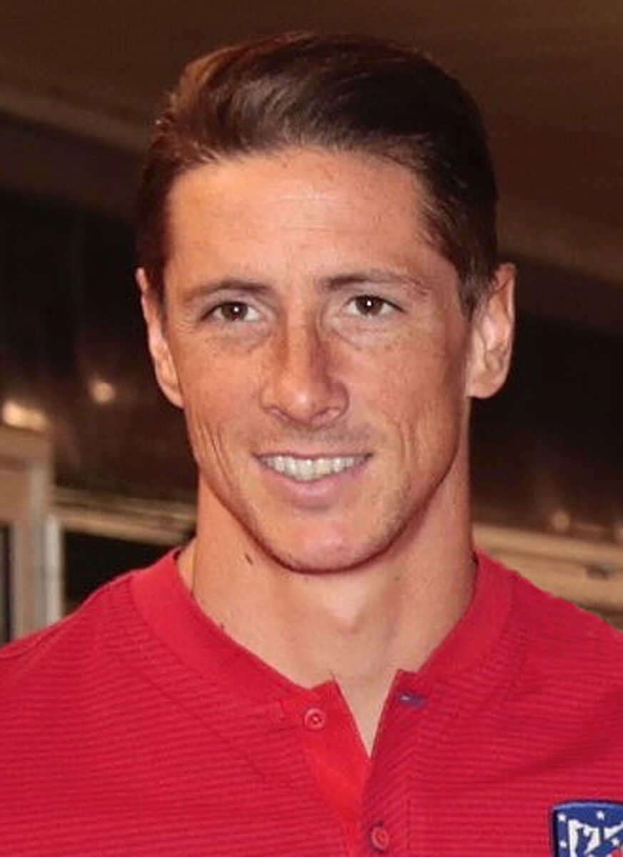 Fernando Torres - Famous Soccer Player