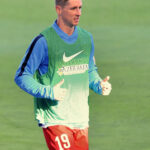 Fernando Torres - Famous Soccer Player