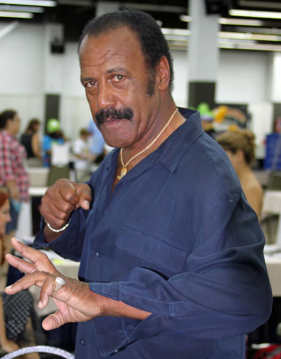 Fred Williamson - Famous Actor