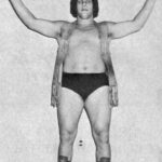 Andre the Giant - Famous Actor