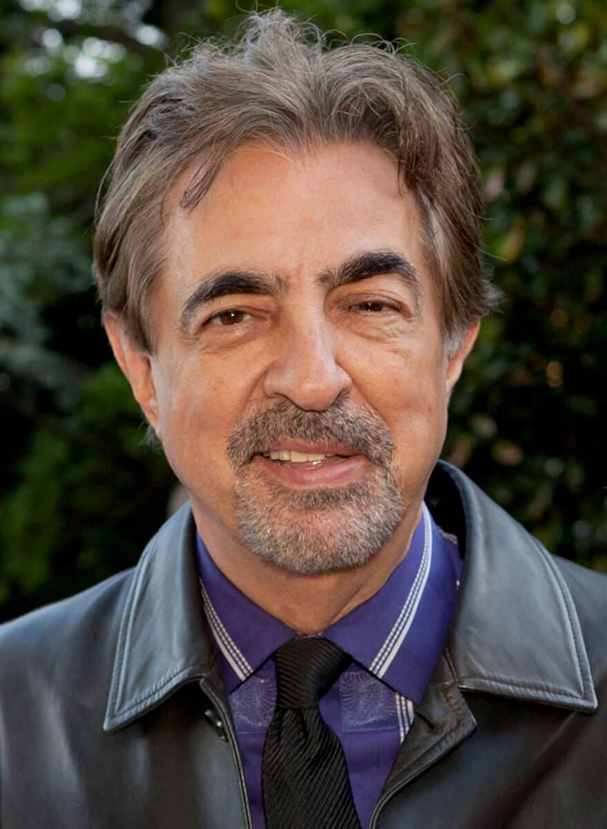 Joe Mantegna - Famous Television Director