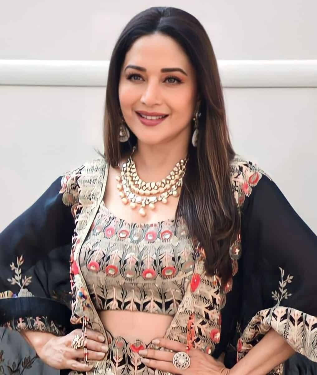 Madhuri Dixit net worth in Actors category