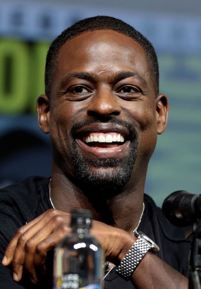 Sterling K. Brown - Famous Actor