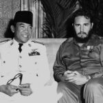 Fidel Castro - Famous Politician
