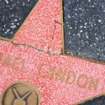 Michael Landon - Famous Actor