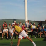 Fernando Verdasco - Famous Tennis Player