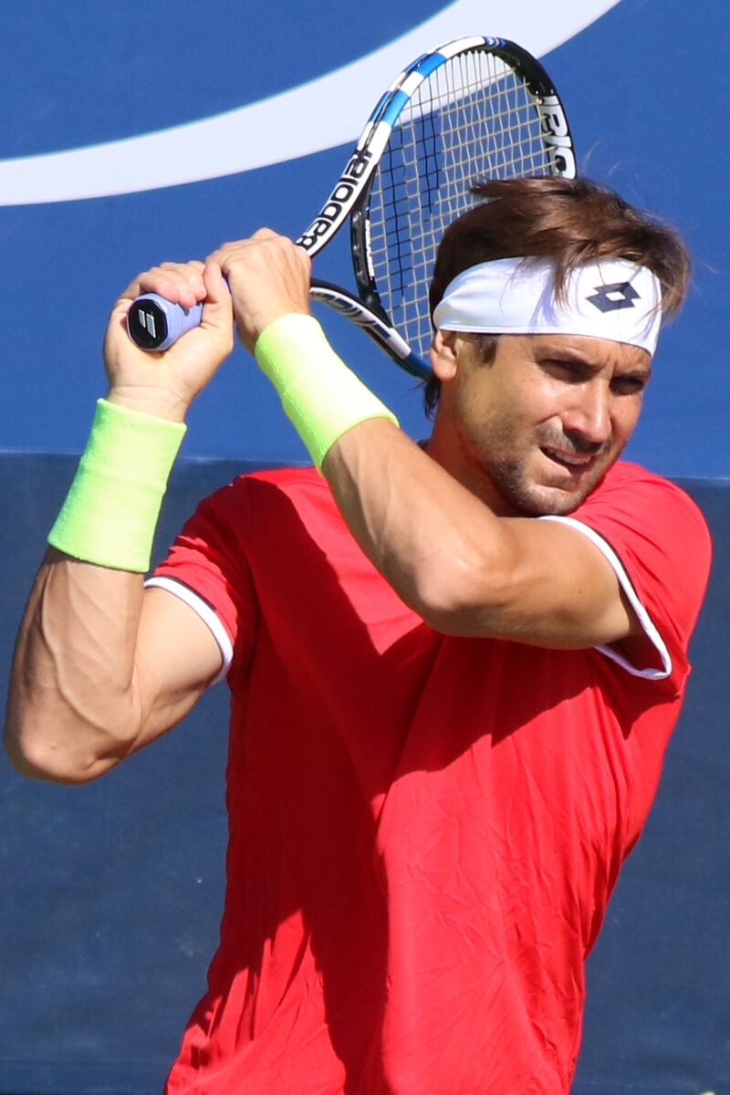 David Ferrer net worth in Sports & Athletes category