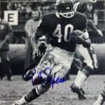 Gale Sayers - Famous Screenwriter