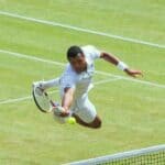 Jo-Wilfried Tsonga - Famous Tennis Player