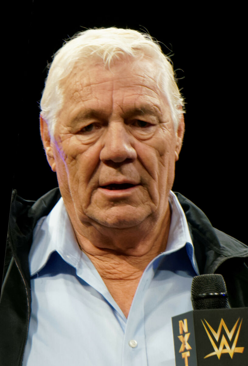 Pat Patterson net worth in Sports & Athletes category