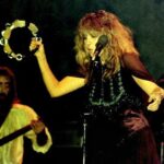 Stevie Nicks - Famous Singer