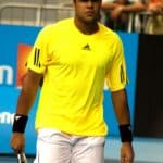 Jo-Wilfried Tsonga - Famous Tennis Player