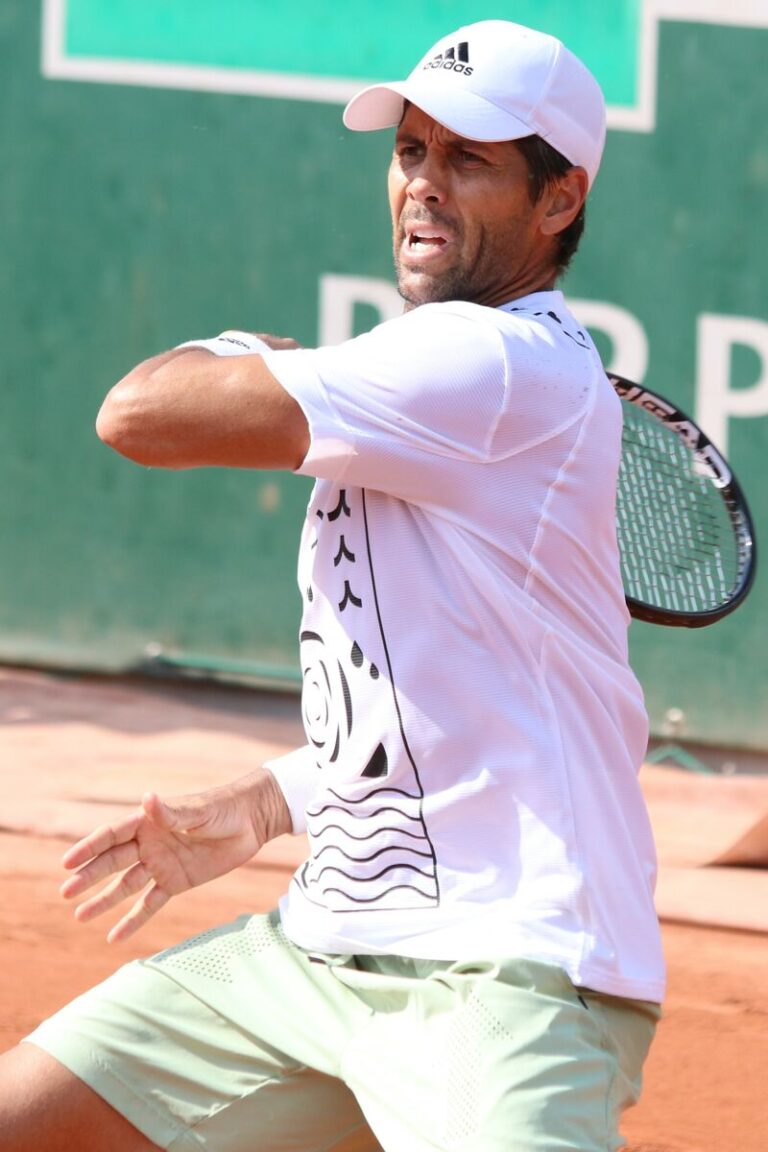 Fernando Verdasco - Famous Tennis Player