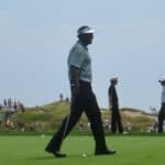 Vijay Singh - Famous Golfer