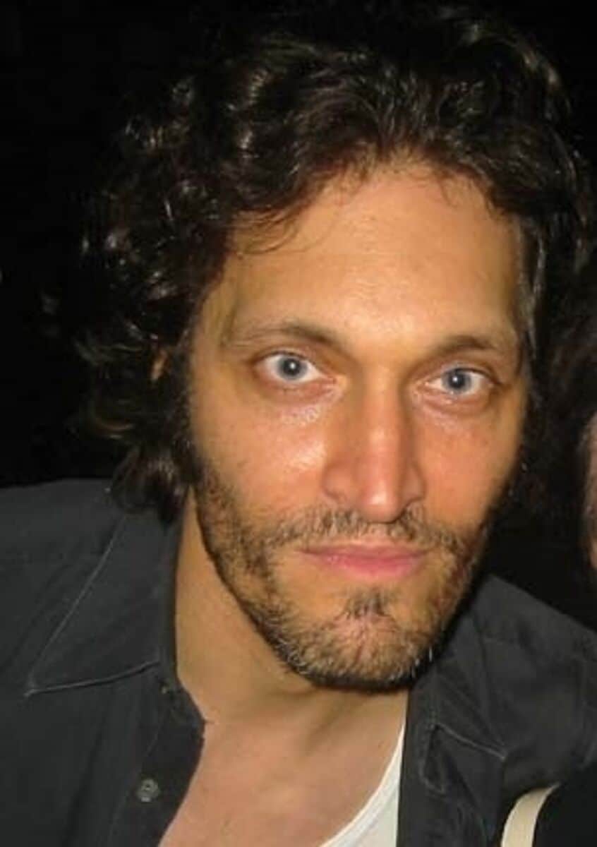 Vincent Gallo net worth in Celebrities category
