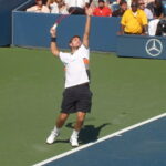 Stan Wawrinka - Famous Tennis Player