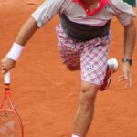 Stan Wawrinka - Famous Tennis Player