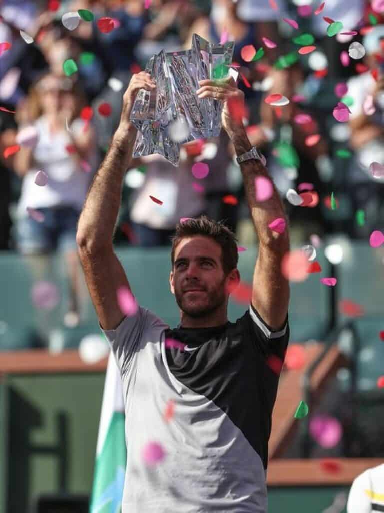 Juan Martín del Potro - Famous Tennis Player