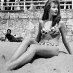 Brigitte Bardot - Famous Model