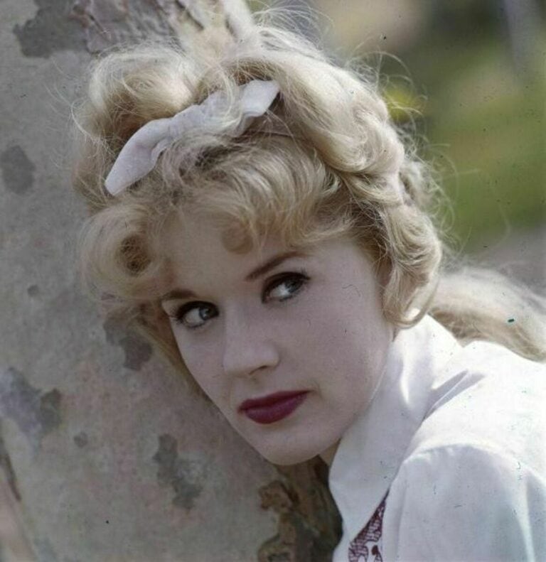 Connie Stevens - Famous Film Producer