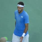 Juan Martín del Potro - Famous Tennis Player