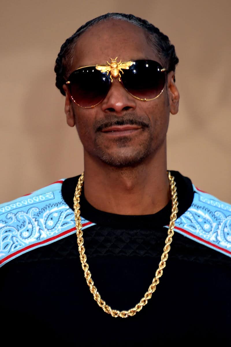 Snoop Dogg - Famous Singer-Songwriter