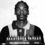 Snoop Dogg - Famous Voice Actor