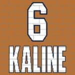 Al Kaline - Famous Baseball Player