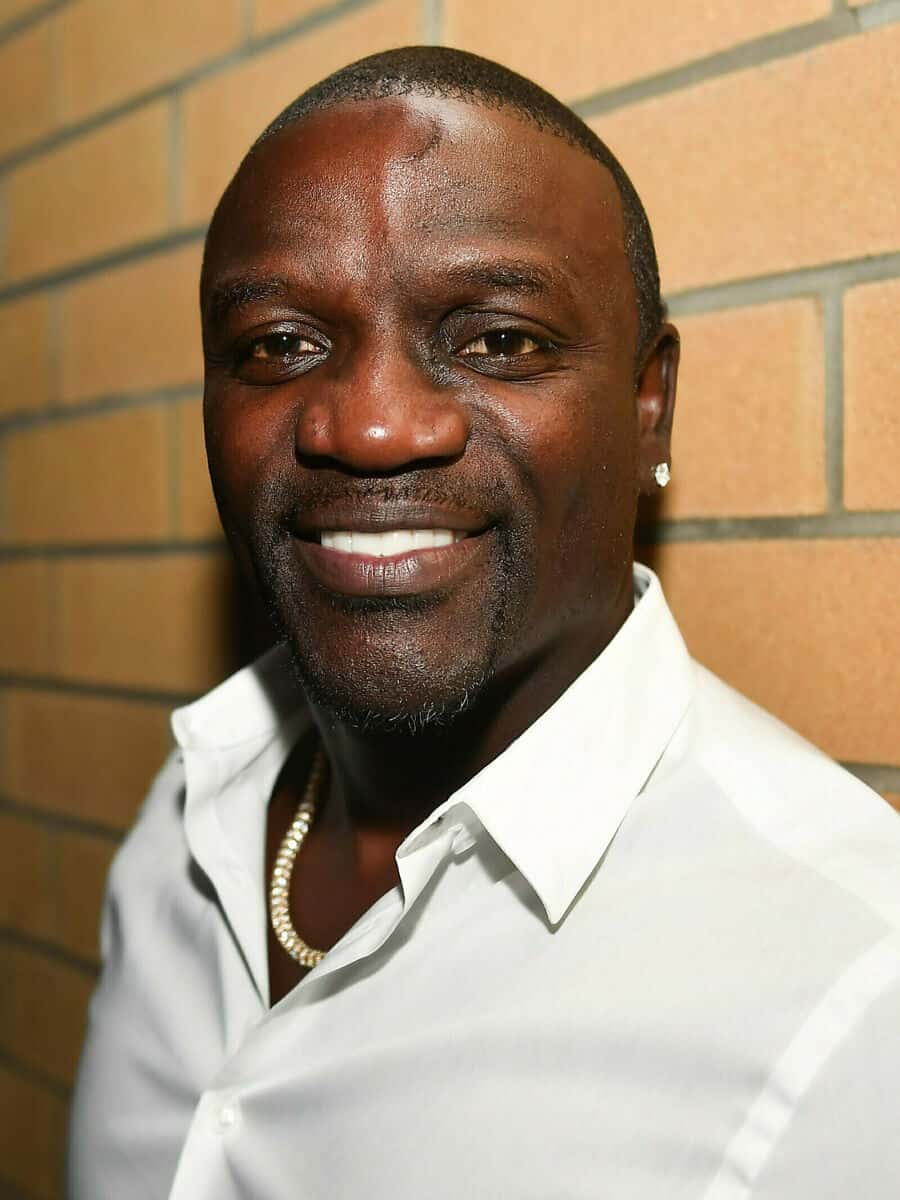 Akon net worth in Celebrities category