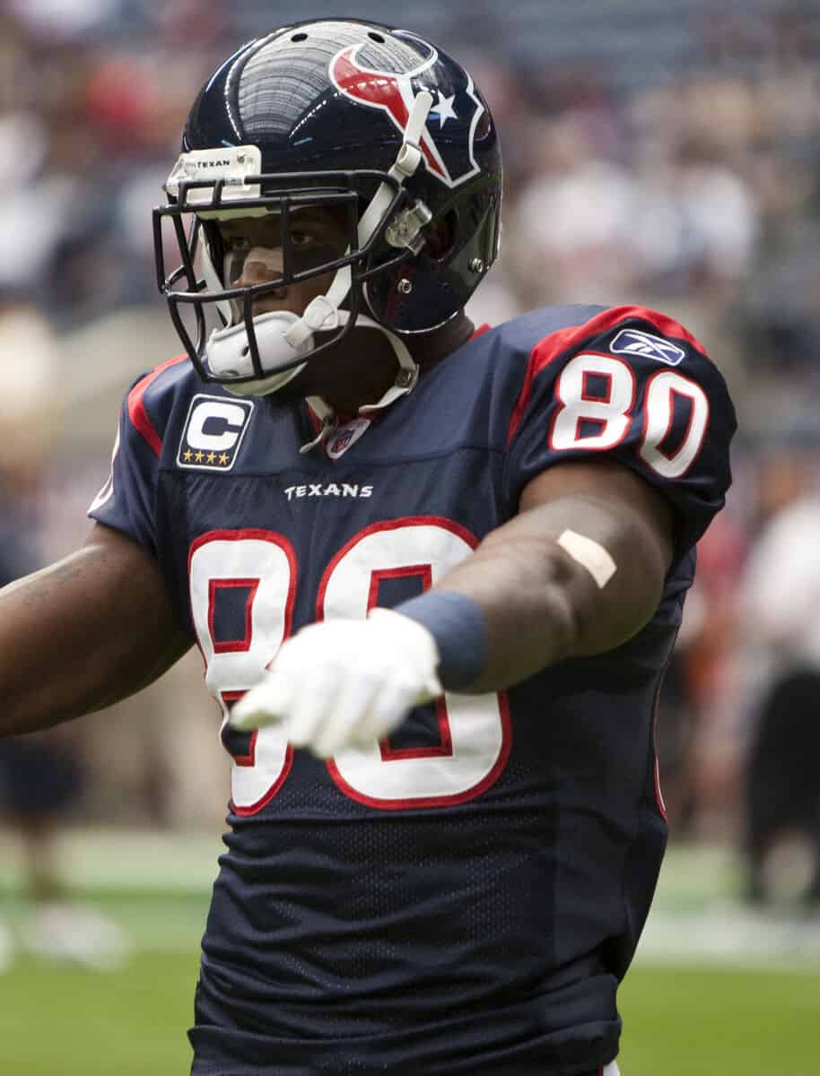 Andre Johnson - Famous American Football Player