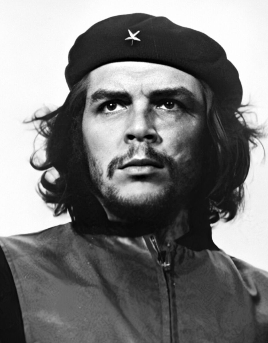 Che Guevara net worth in Authors category