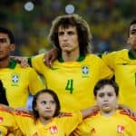 Luiz Gustavo - Famous Soccer Player