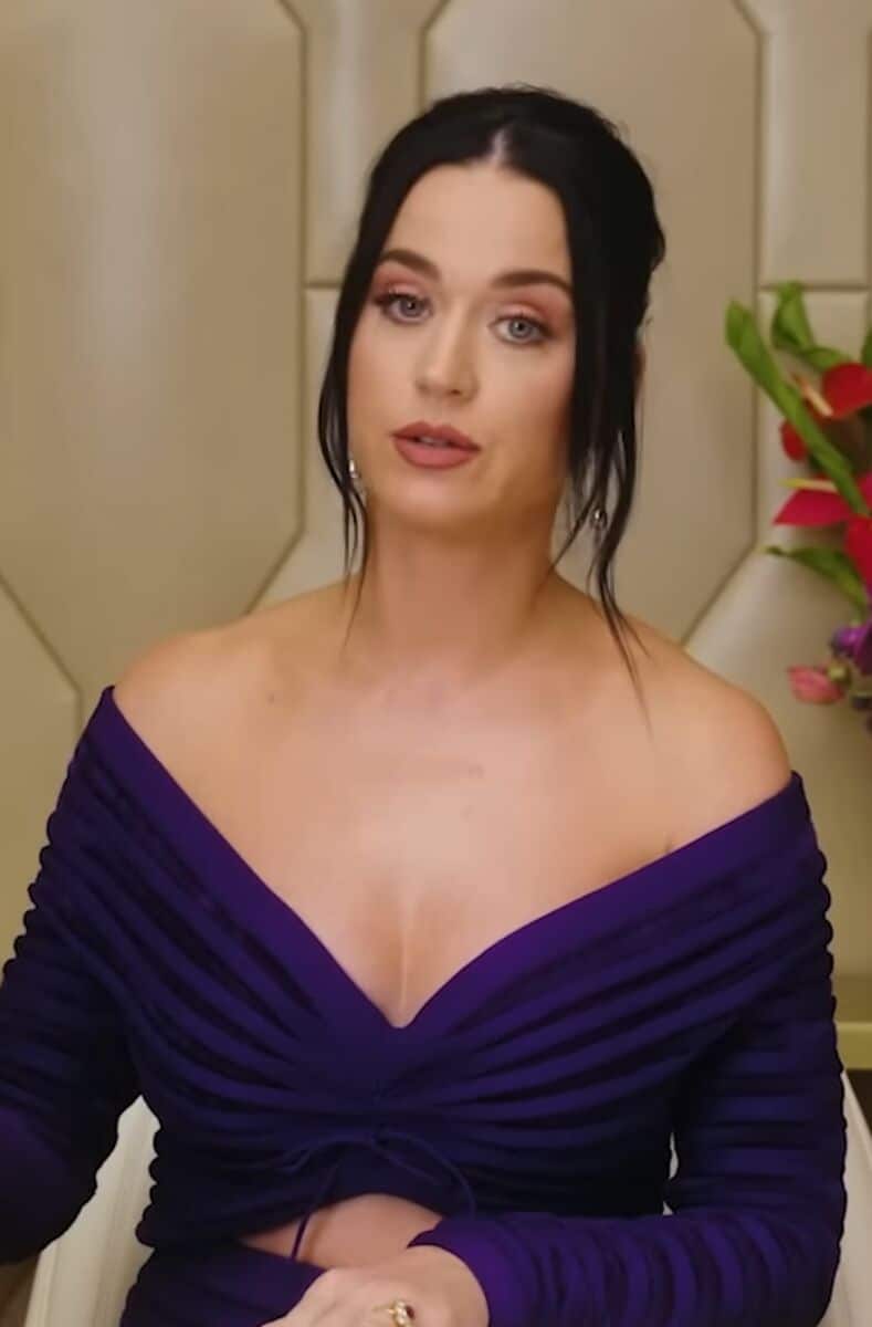 Katy Perry - Famous Singer-Songwriter
