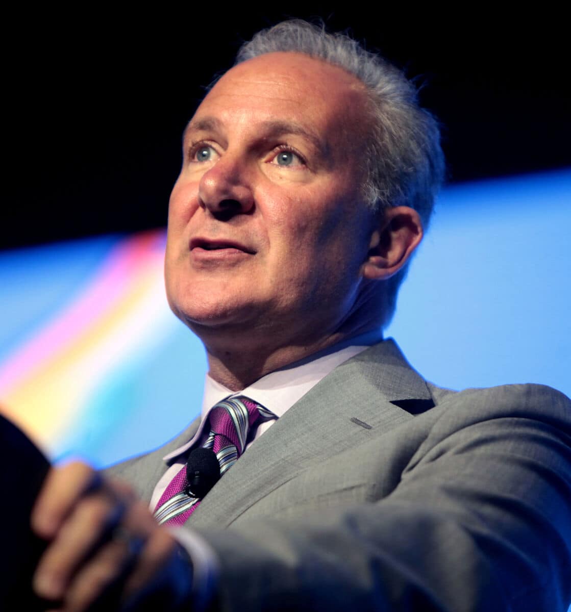 Peter Schiff net worth in Business category