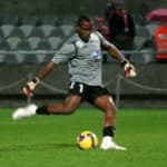 Vincent Enyeama - Famous Football Player