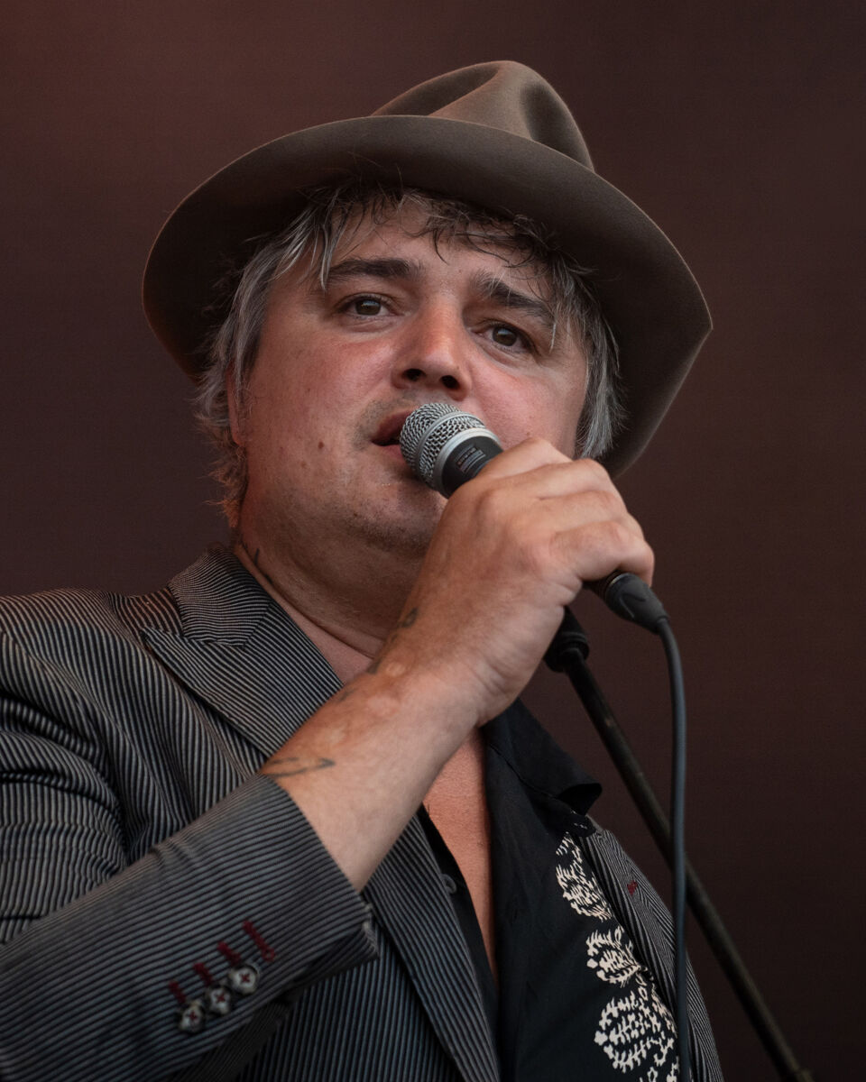 Pete Doherty Net Worth Details, Personal Info