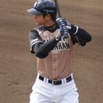 Shohei Ohtani - Famous Baseball Player