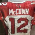 Josh McCown - Famous American Football Player